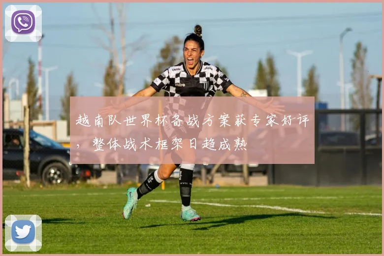 越南队世界杯备战方案获专家好评，整体战术框架日趋成熟