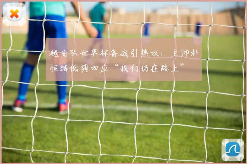 越南队世界杯备战引热议，主帅朴恒绪低调回应“我们仍在路上”