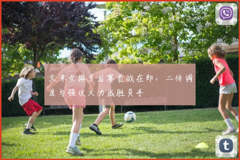 天津女排季后赛首战在即，二传调度与强攻火力成胜负手